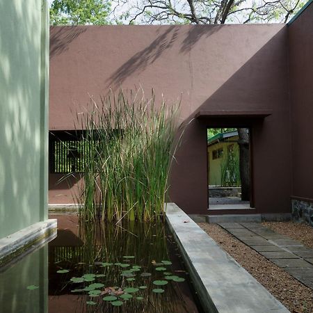 Neem Tree House Βίλα Kirinda  Εξωτερικό φωτογραφία
